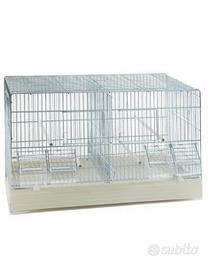 gabbia 55