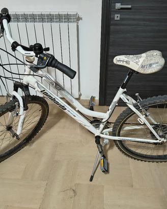 Bici Lombardo Panarea 100 tg 26
