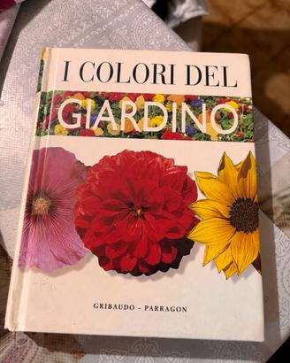 Libro