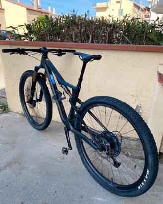 Orbea oiz