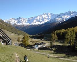 Vacanze in Val Senales