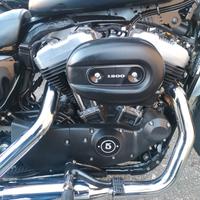 Harley-Davidson Nightster N1200XL 