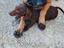 Immagine 1