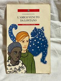 Libro L’Amico Venuto da Lontano