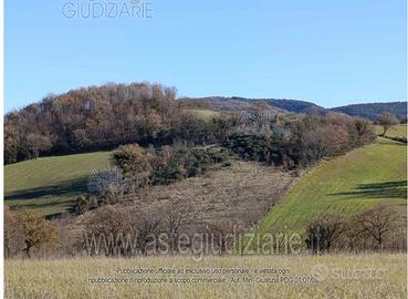 Terreno Agricolo Sassoferrato [A4336729]
