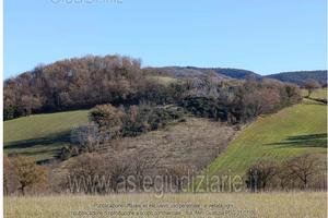Terreno Agricolo Sassoferrato [A4336729]