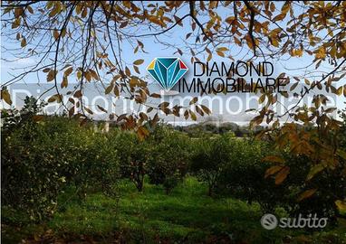 Soluzione singola con terreno a Macchia di Giarre