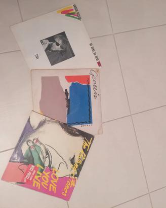 Lp vinili