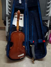 violino