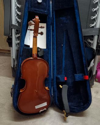 violino