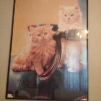 POSTER DI DIVERSI DISEGNI