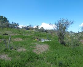 Terreno agricolo e panoramico Ter/32