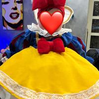 vestito di carnevale biancaneve