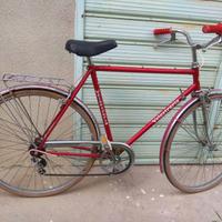 bici da uomo  marca  Veloetruria