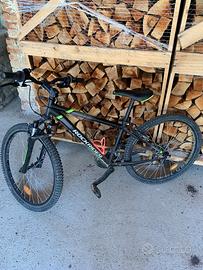Mountain bike bambino