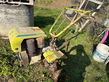 Motozzappa Grillo