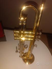 tromba  con custodia