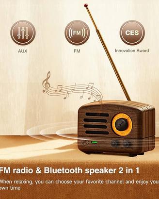 Radio fm e speaker bluetooth Muzen Otr Wood