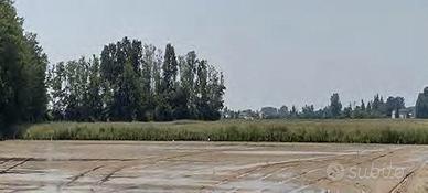 RGE 489/2022 Trib Pavia - LOTTO 6