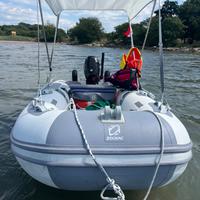 Zodiac 310 aero