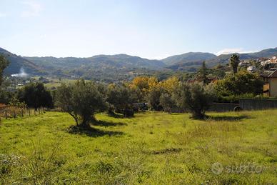 Terreno edificabile Mendicino