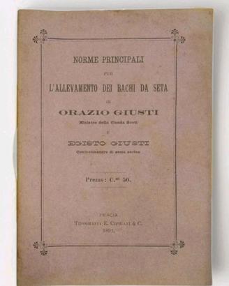 L'ALLEVAMENTO DEI BACHI DA SETA Orazio Giusti