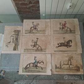 stampe antiche fine 700 cavalli