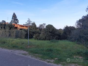 Poggio dei pini terreno edificabile 1120 mq