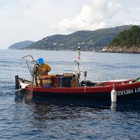 Barca in Resina 6,5m con Licenza da pesca 1GT