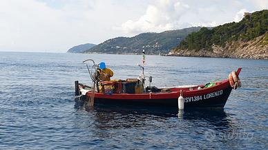 Barca in Resina 6,5m con Licenza da pesca 1GT