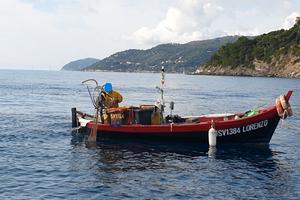 Barca in Resina 6,5m con Licenza da pesca 1GT