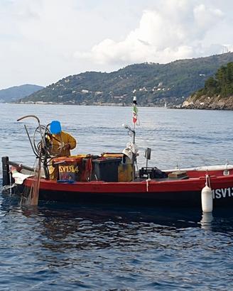 Barca in Resina 6,5m con Licenza da pesca 1GT