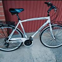 bicicletta da passeggio MTB