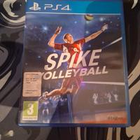 Spike Volleyball