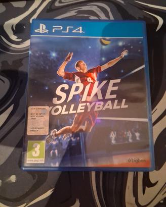 Spike Volleyball