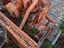 Immagine 4