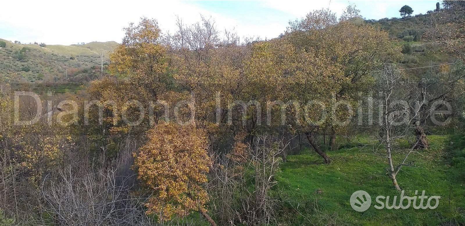 Proprietà agricola con casolare a Linguaglossa - Vista 5