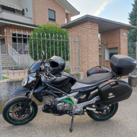 Suzuki SV 650 Gladius