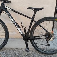 MTB cannondale