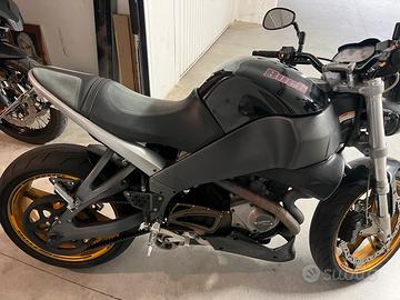 Buell db12s