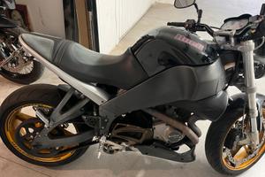 Buell db12s