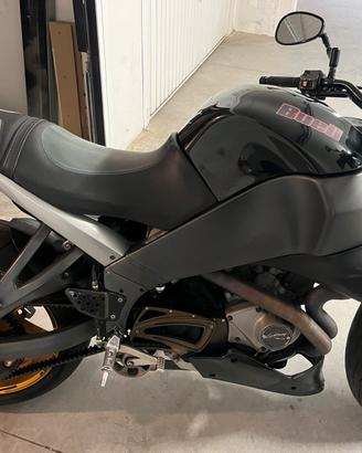 Buell db12s