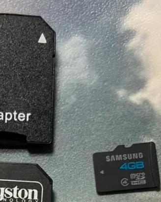 Micro SD con adattatore