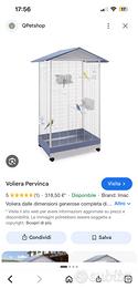 Voliera Imac Pervimca con coppia cocorite +3 pulli