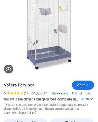 Voliera Imac Pervimca con coppia cocorite +3 pulli