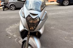 Silver Wing