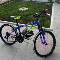 bicicletta da ragazzo