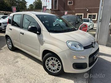 FIAT - Panda - 1.2 Easy