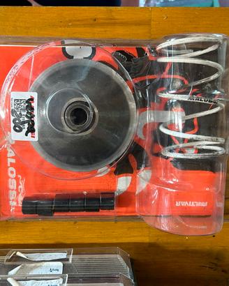 Variatore Multivar Malossi Vespa 200 Beverly 200