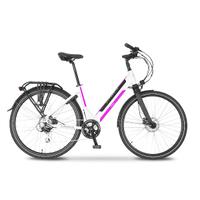 Bicicletta pedalata assistita Omega Argento bike